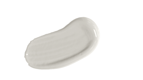 Paint Smear_White Pepper paint color white pepper florida paints color of the year 2026
